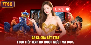 Đá Gà Cựa Sắt TT88 – Trực Tiếp Kênh HD 1080p Mượt Mà 100%