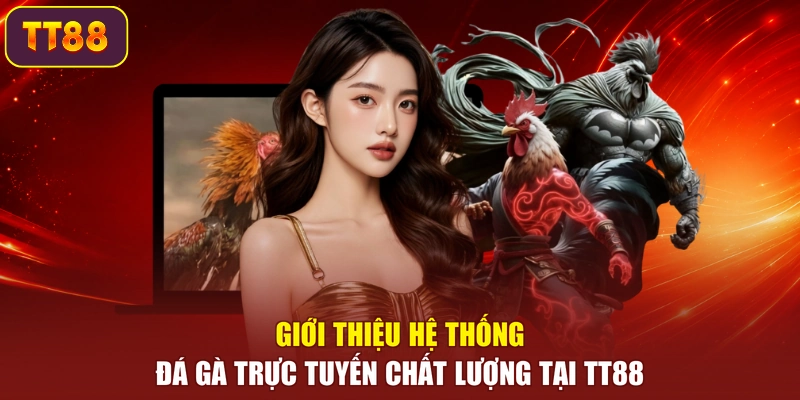 Giới thiệu hệ thống đá gà trực tuyến chất lượng tại TT88