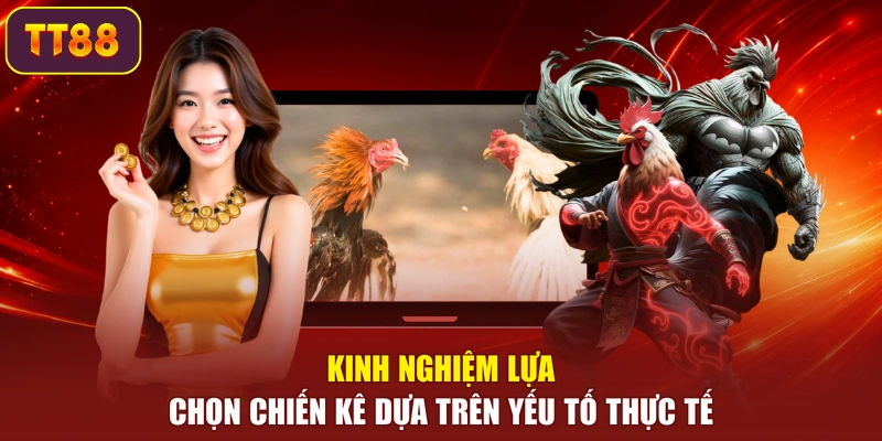 Kinh nghiệm lựa chọn chiến kê dựa trên yếu tố thực tế